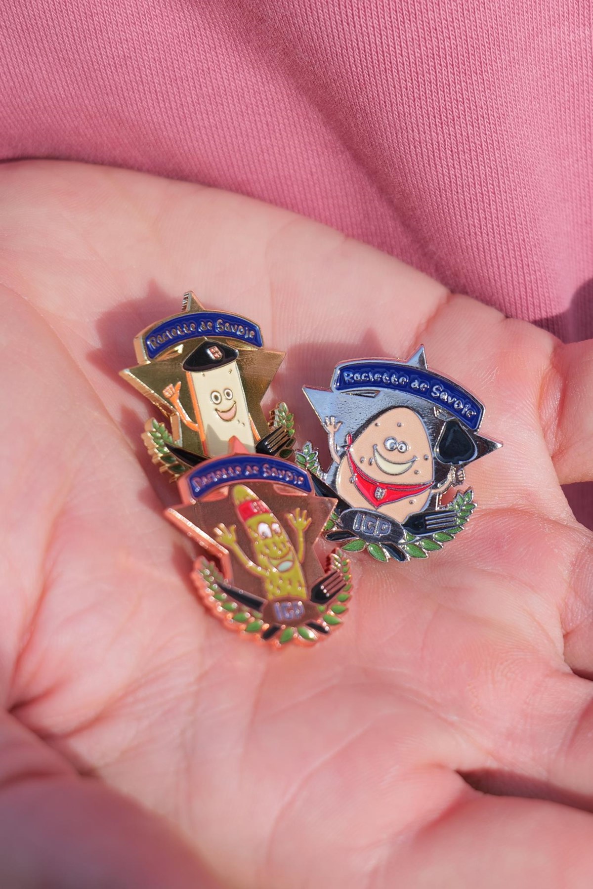 Pins Ralcette de Savoie - Photo 1