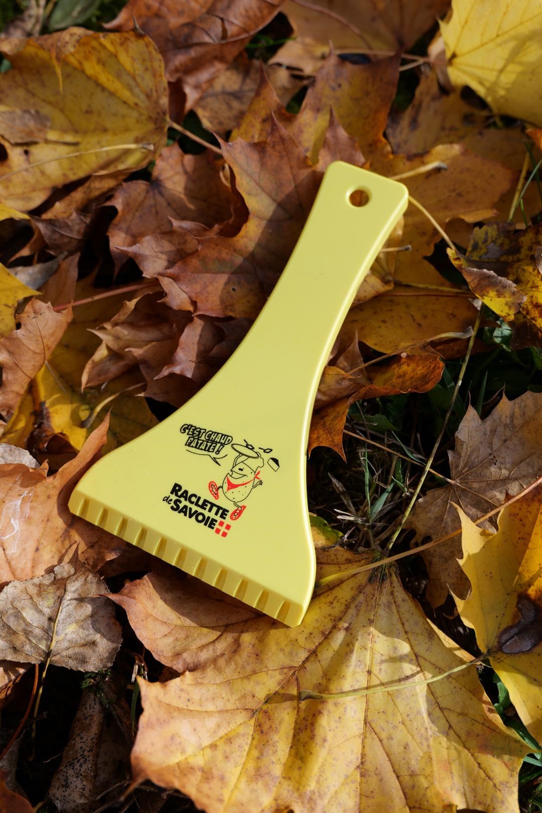 Raclette pare-brise - Raclette de Savoie - Photo 1