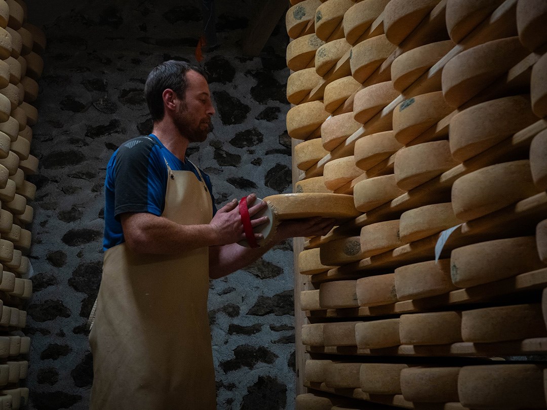 producteur de raclette de savoie fermière qui frotte ses fromages